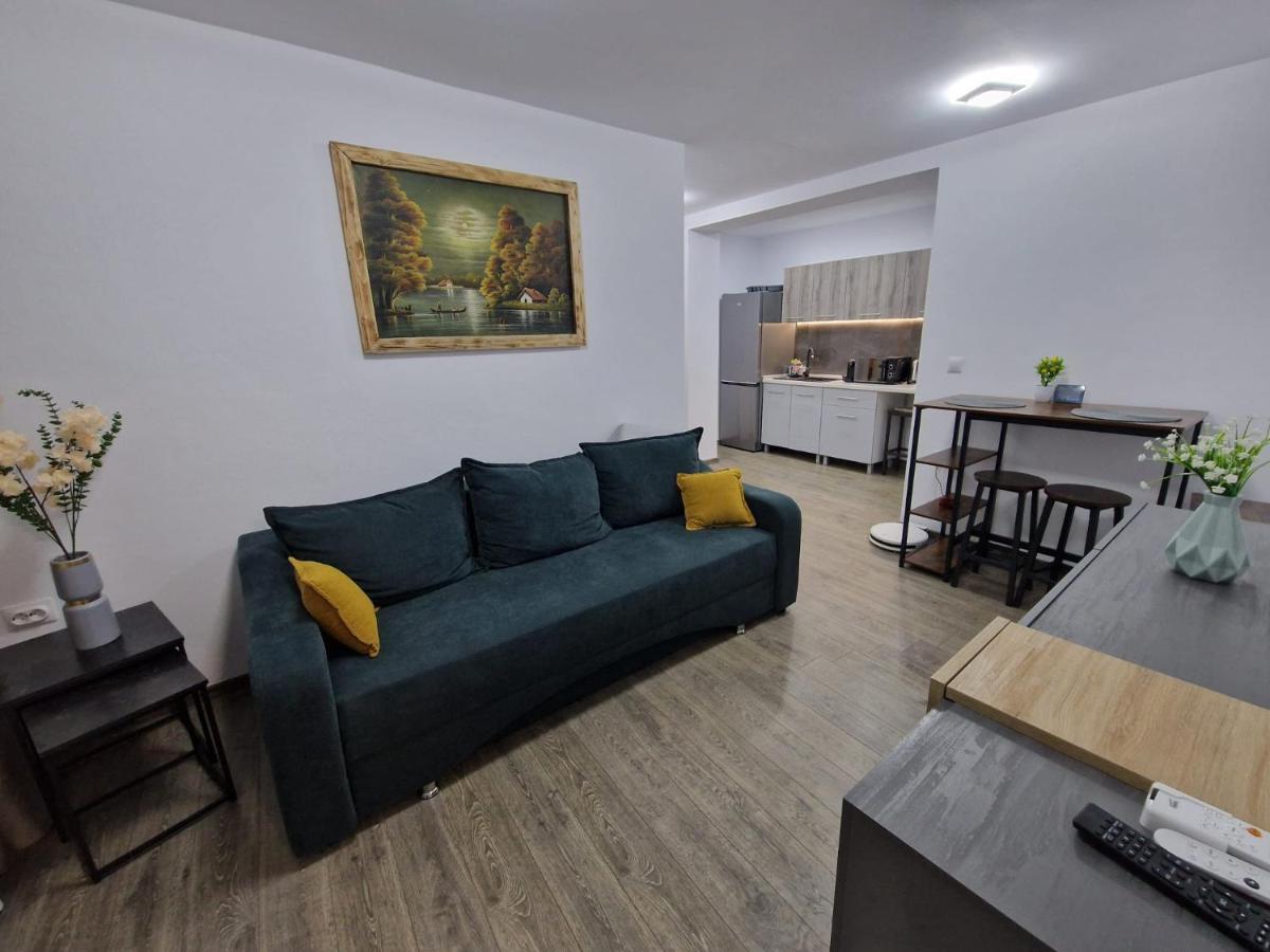 Home Studio Sighișoara Zewnętrze zdjęcie